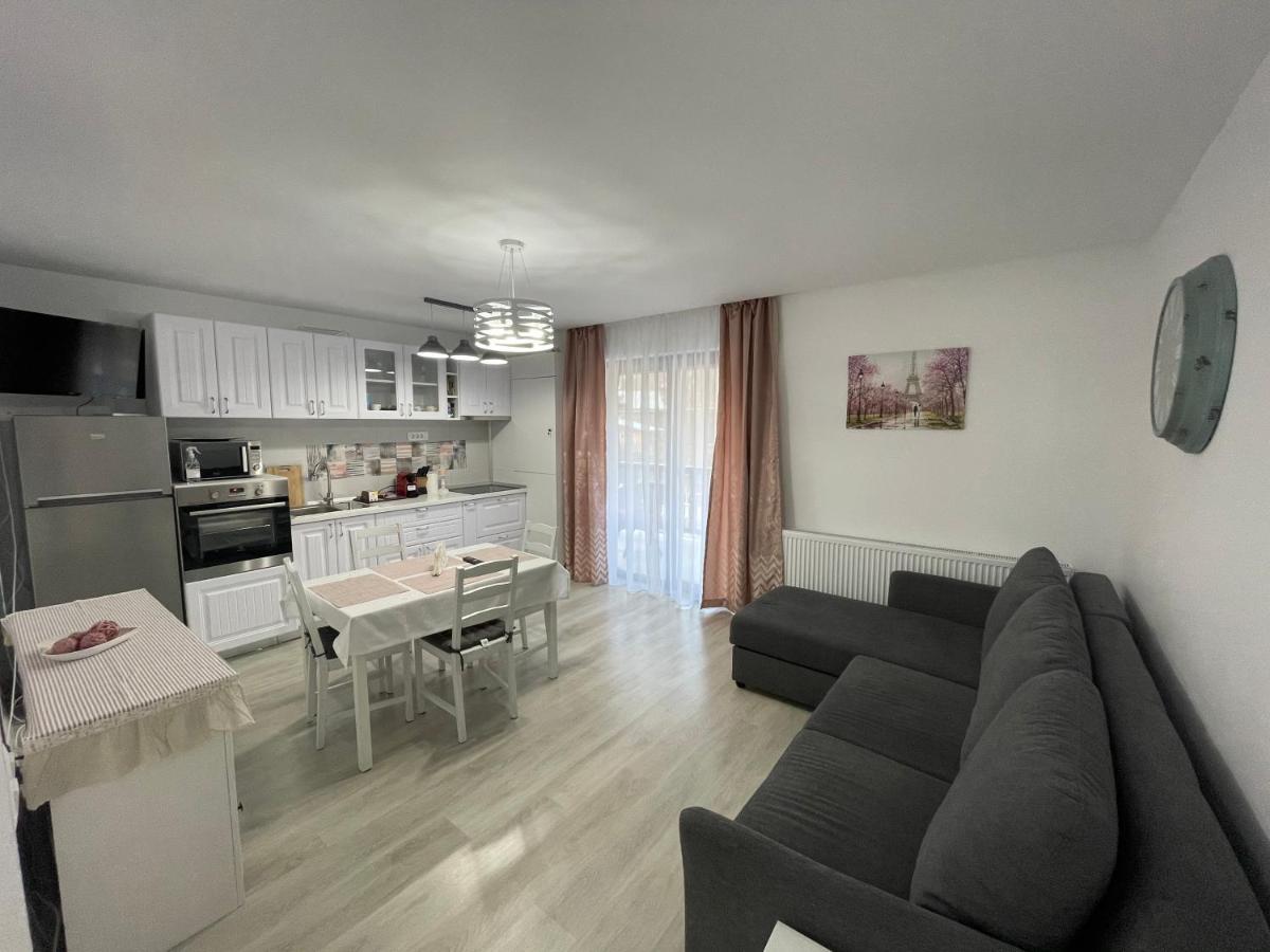 Castle Residence Apt. Eminescu Busteni Exterior photo