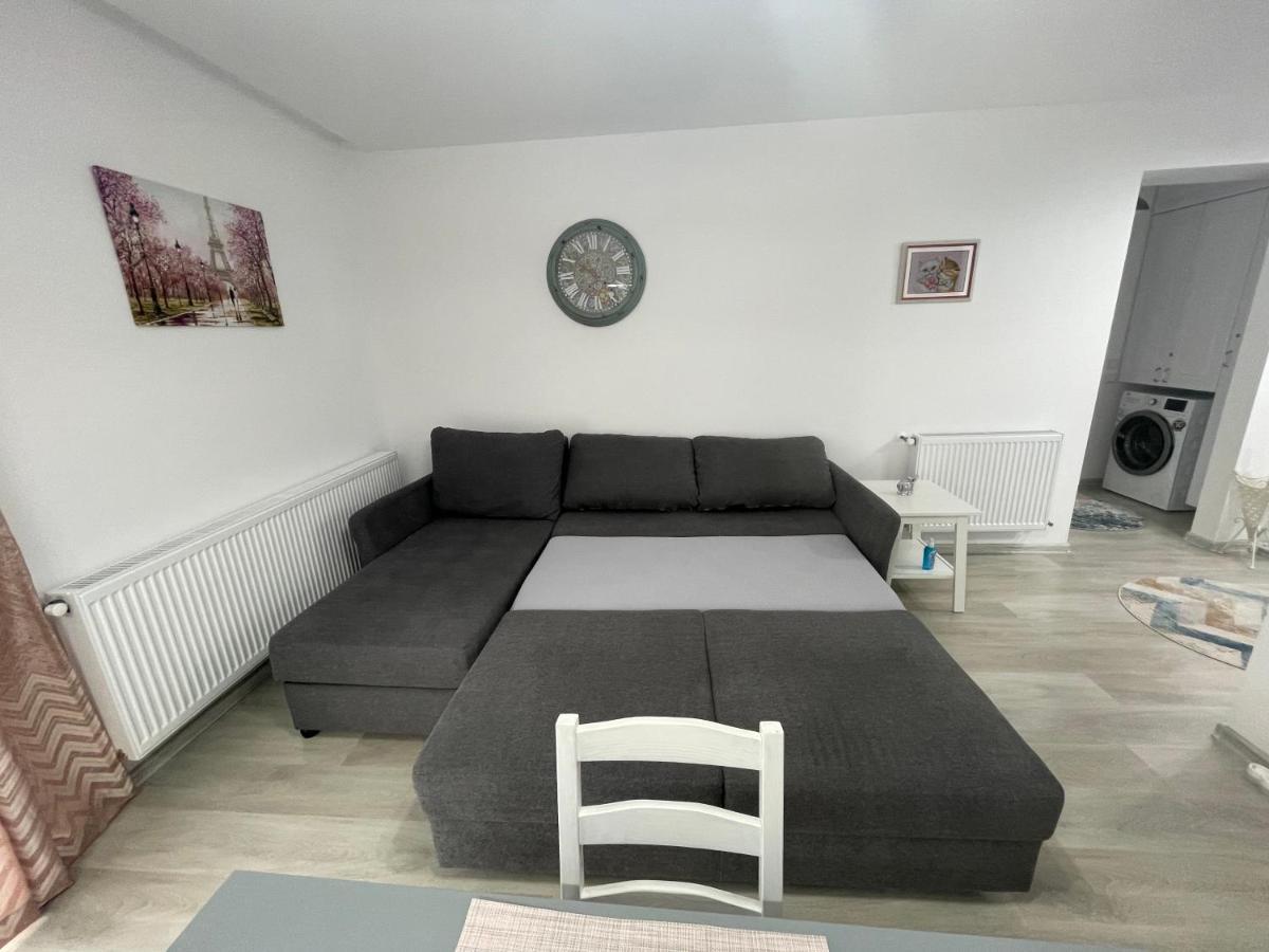 Castle Residence Apt. Eminescu Busteni Exterior photo